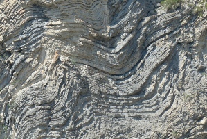 PETROG